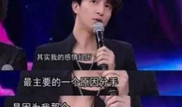 钱峰薛之谦最新爆料视频,背后真相令人震惊